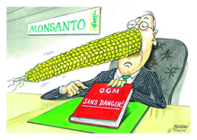 dessin Burki Monsanto web