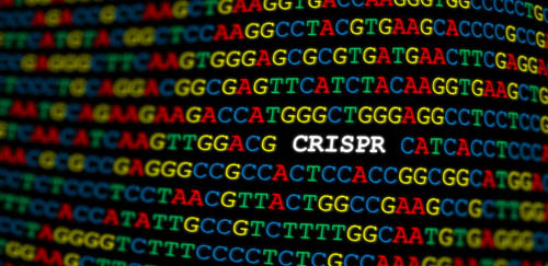 News 2018 07 27 CRISPR