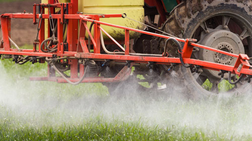 Tractor spraying pesticides on wheat field with sprayer at spring