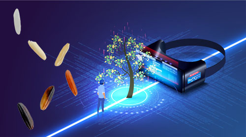 Fällt die Risikoprüfung weg, sind Risiken für Umwelt, Lebensmittelproduktion und Pflanzenzüchtung vorprogrammiert. (Bild: Shutterstock).